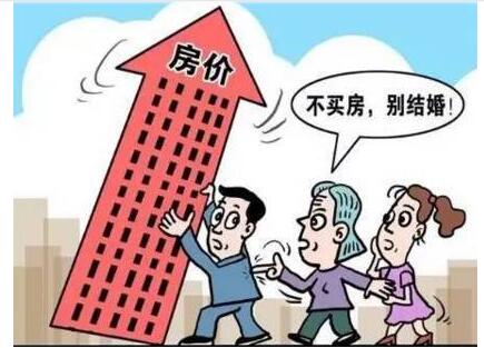 高州市是一个怎样的城市,湛江一座来了就不想走的海滨城市