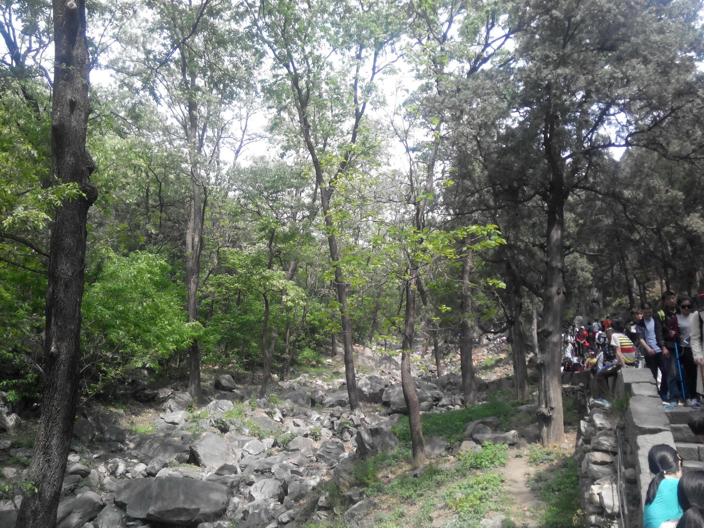 天津去泰山自由行攻略,天津泰山旅游攻略自助游