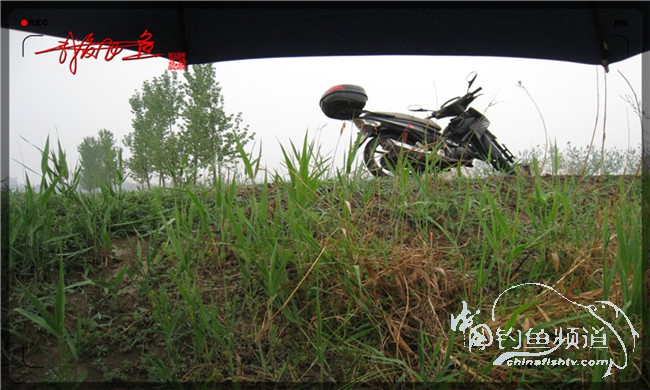 风雨无阻之我爱飞鱼去‘*欢寻**’！