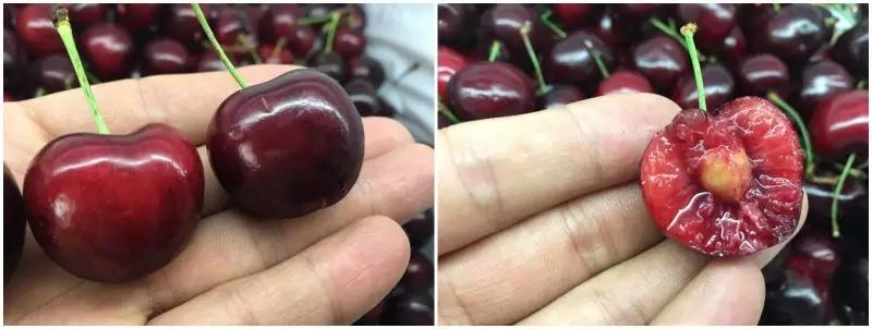 合肥惊现光速水果外卖，最晚到凌晨12点，这么任性的只有它了！