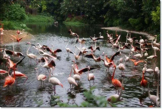 长隆适合小朋友玩的地方,长隆有哪些小朋友可以玩的项目