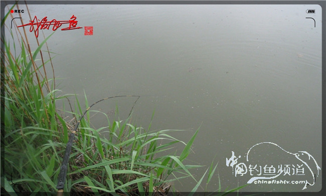 风雨无阻之我爱飞鱼去‘*欢寻**’！