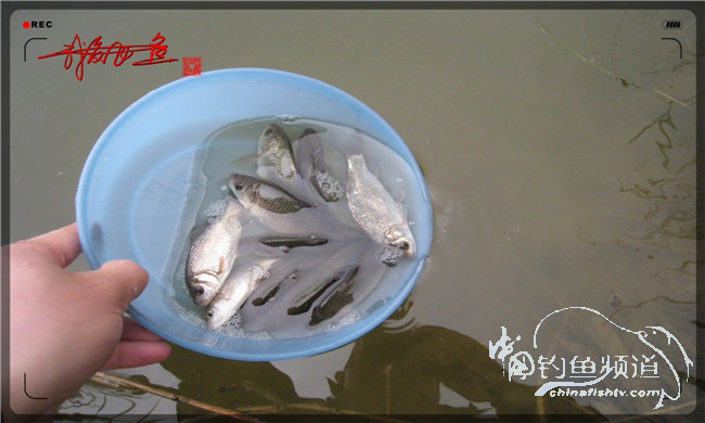 风雨无阻之我爱飞鱼去‘*欢寻**’！