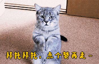 支付宝提现如何免手续费最新,支付宝有什么方法避免提现手续费