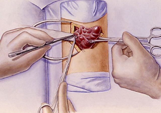 甲府事件有哪些,甲府市在哪里