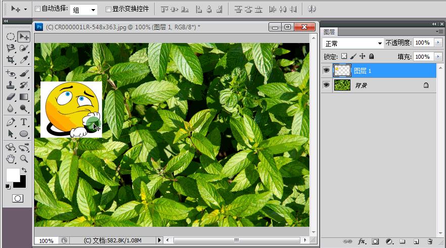 在ps中如何复制选区内容进新图层,ps怎么把图层复制到另一张图里