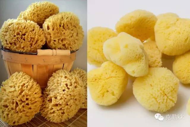 秋冬常用生活物品平价小众,十大高逼格小众生活用品