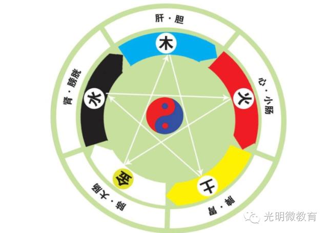 中医经典阅读优秀文章展——阳道实，阴道虚