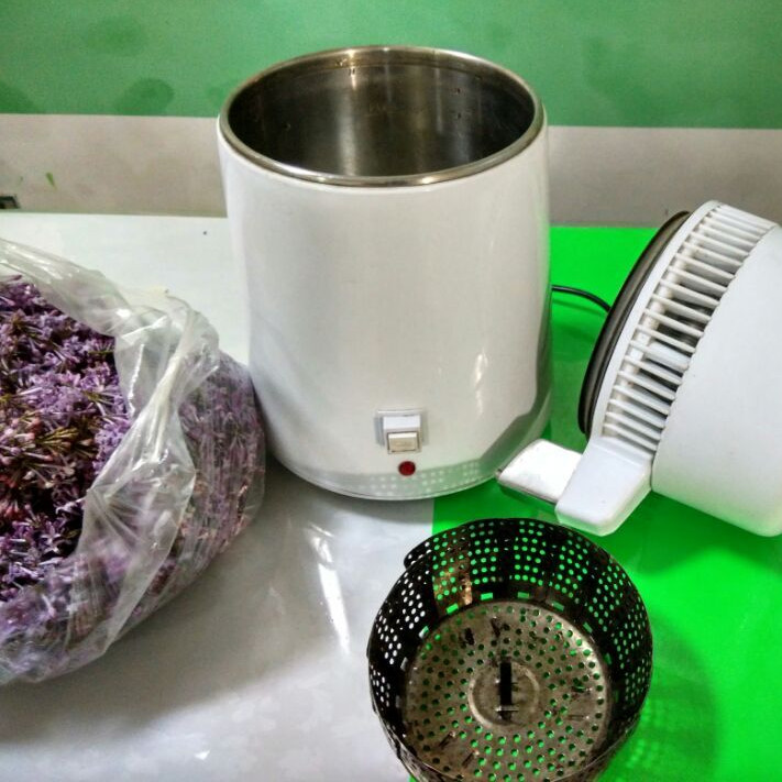 丁香花纯露作用与功效,丁香花纯露怎么做