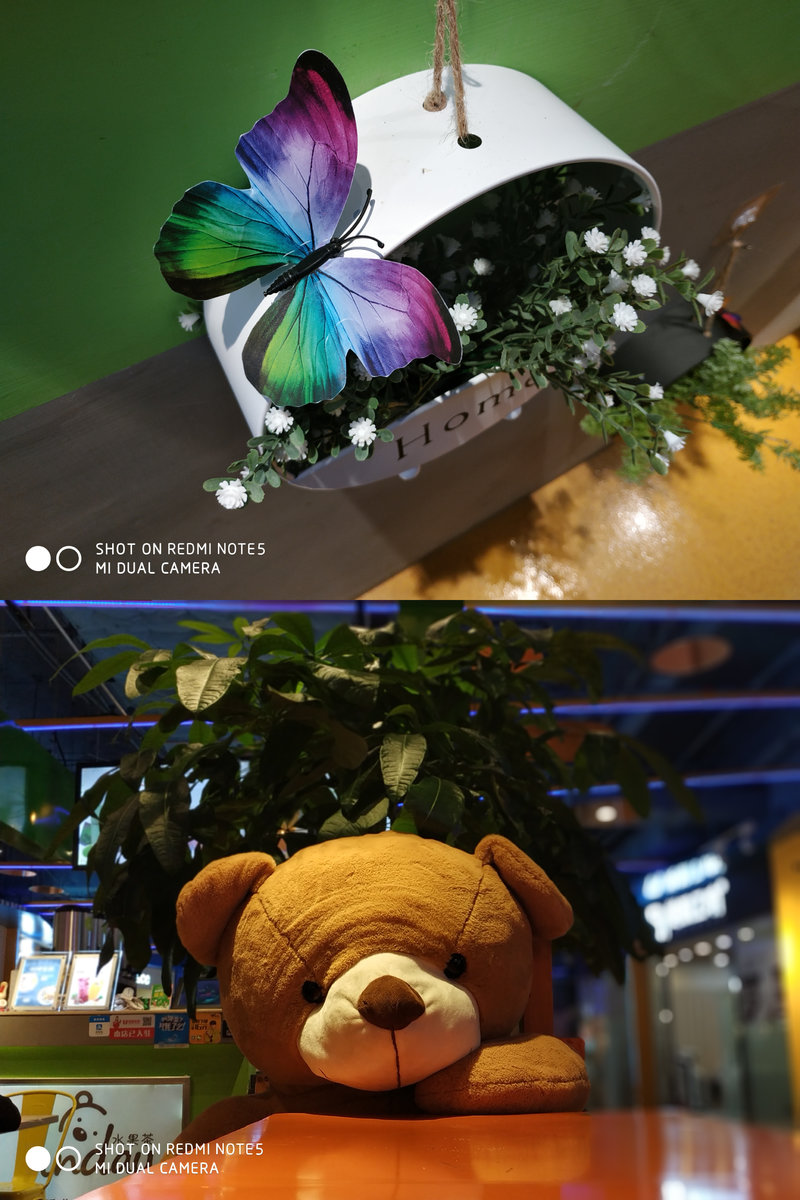 红米note5详细评测,2019年红米note5还值得购买吗