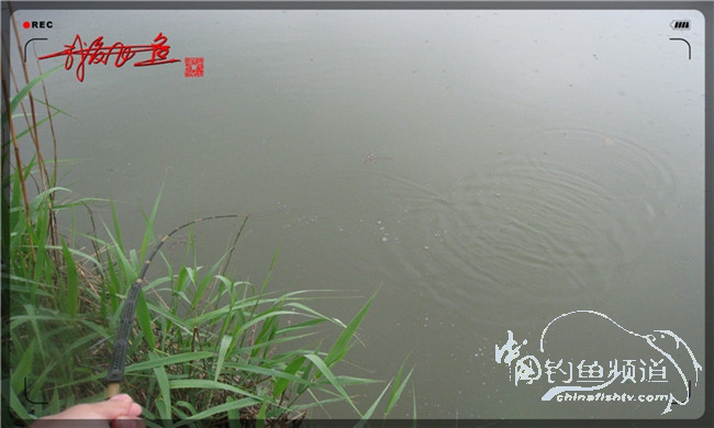 风雨无阻之我爱飞鱼去‘*欢寻**’！