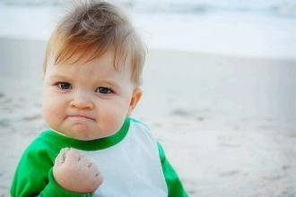 养毒蛇一年利润,养毒蛇靠什么赚钱