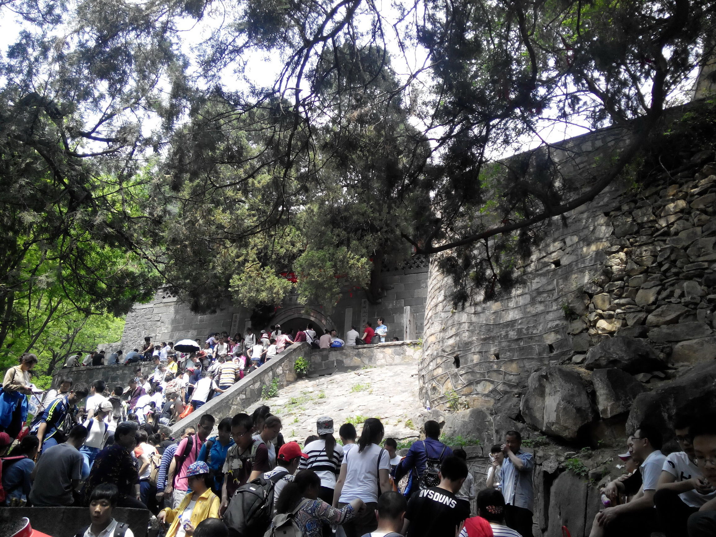 天津去泰山自由行攻略,天津泰山旅游攻略自助游