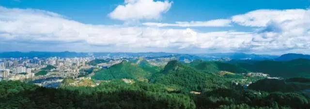 一封来自90后的辞职信,一封来自网友辞职信