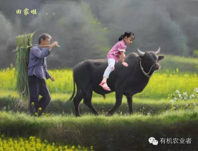 曾经|结伴跑在乡间小路上，跑过了整个童年~~