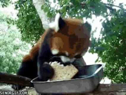 螺蛳粉泡面哪个好吃,泡面好吃还是螺蛳粉好吃