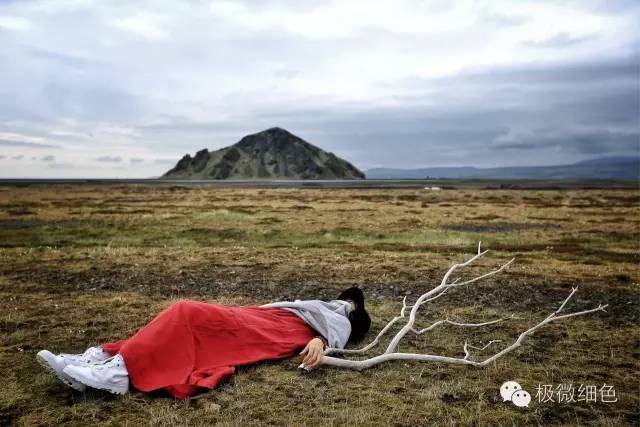 我在冰岛，带回一截漂亮的枯木