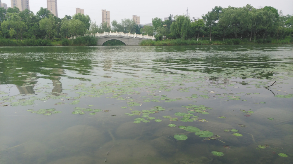 斐讯全系列产品,斐讯小手机