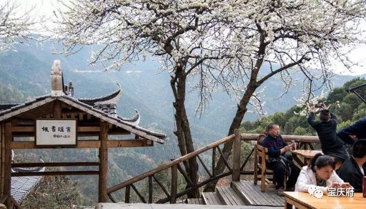 怀化溆浦县山背梯田全景,溆浦山背梯田