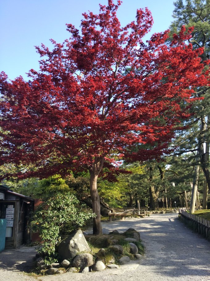 4月在冷门的日本乡下踏个春~小松、金沢5日
