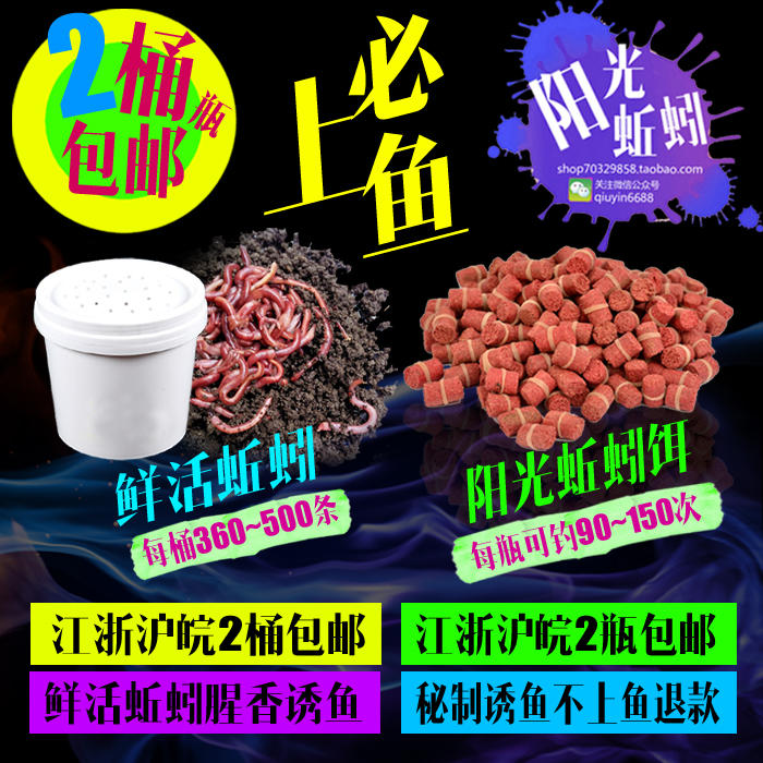 新手挂鱼饵料,新手常备饵料怎么选