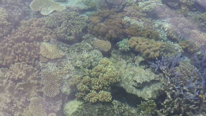 澳大利亚昆士兰州自由行攻略,澳洲三个月之旅