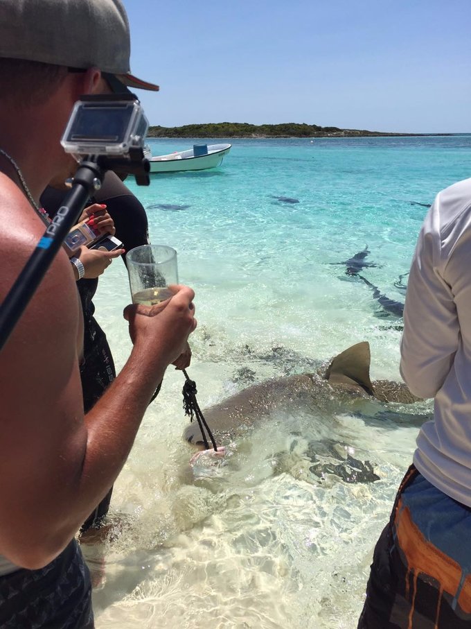 巴哈马旅游风景2020,巴哈马海滩旅游攻略