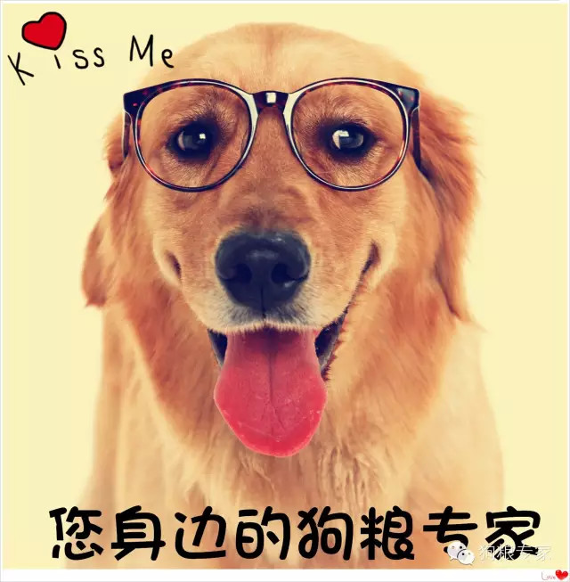宠物鱼油猫狗通用宠物专用防掉毛,宠物深海鱼油50ml猫狗通用