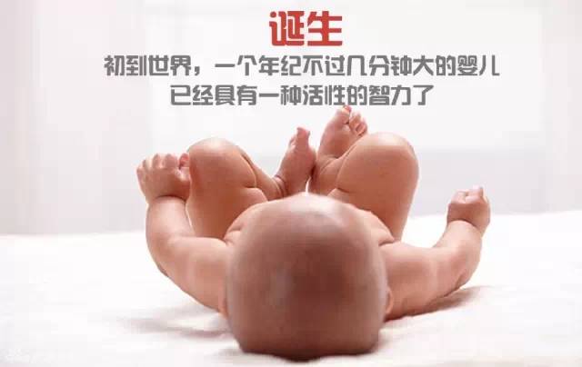 造人计划之前必须要做的几件事,造人是个很辛苦的事情