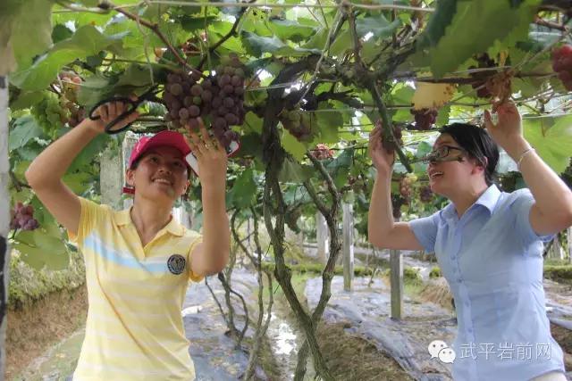 武平岩前有哪些景区,武平岩前有什么好玩的