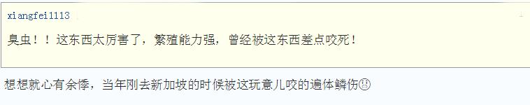 宿舍臭虫多请问用什么药杀虫有效,家里发现臭虫如何防治