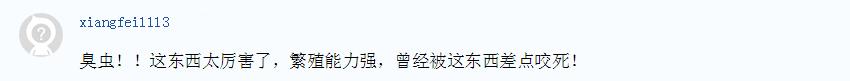 宿舍臭虫多请问用什么药杀虫有效,家里发现臭虫如何防治