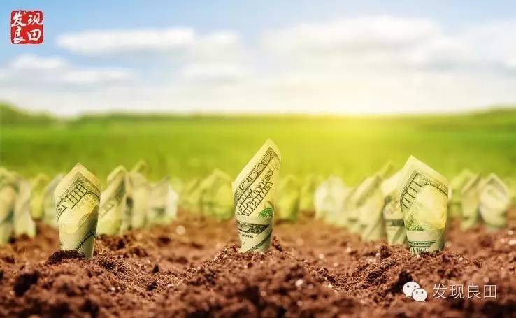 新农人创业，商机在哪里？