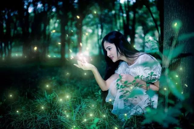 太原投资2000万风情文化节！引来50万只萤火虫！20万只蝴