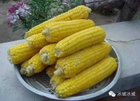 吉林人看到肯定淌哈喇子！这些好东西可能老多年没吃到了