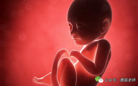 引产清宫后当月怀孕了怎么回事,引产之后胎儿排出还需要做清宫吗