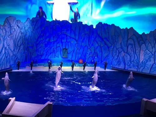 珠海长隆海洋王国一日一夜游攻略,珠海长隆海洋王国攻略两天一夜