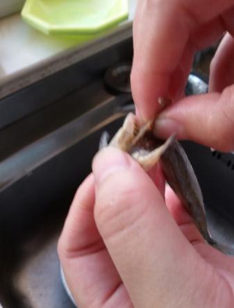 干煎多春鱼正宗做法,干煎多春鱼