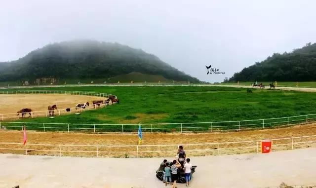 当百里荒遇上山楂树，预“谋”最纯爱的告白