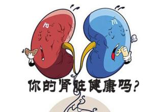 谨防肾脏疾病变成尿毒症，赶紧看这篇！