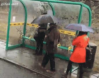 内涵GIF：这什么种子？射了我一脸！