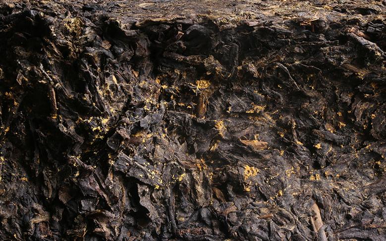 金花霉变和白霜的区别,所谓的金花和白霜的区别