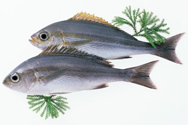 怀孕1个月吃什么营养还不胖,怀孕1个月吃点什么好