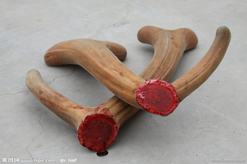 鹿茸干片保质期,服用鹿茸的真实感受