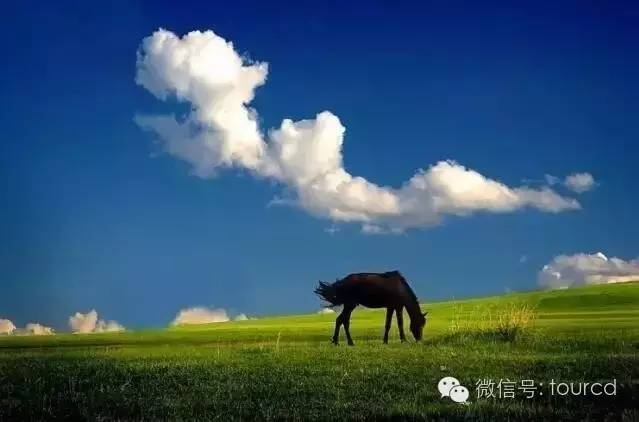 承德被评为十佳城市,兴隆被国家评为最美县城