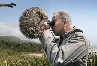 创业和过日子你总要作出选择