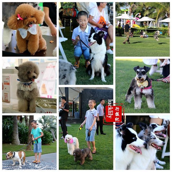 三亚美高梅临海,美高梅三亚旅拍