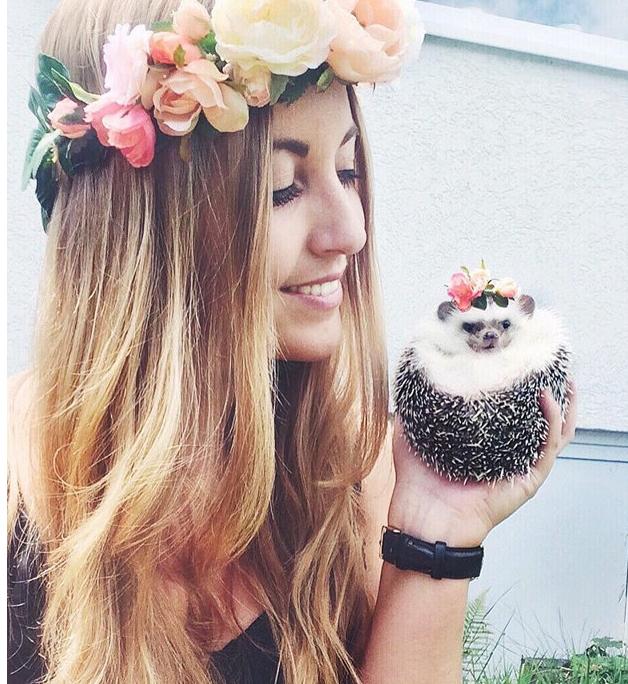 世界上最幸福的刺猬,世界上最幸福的小刺猬