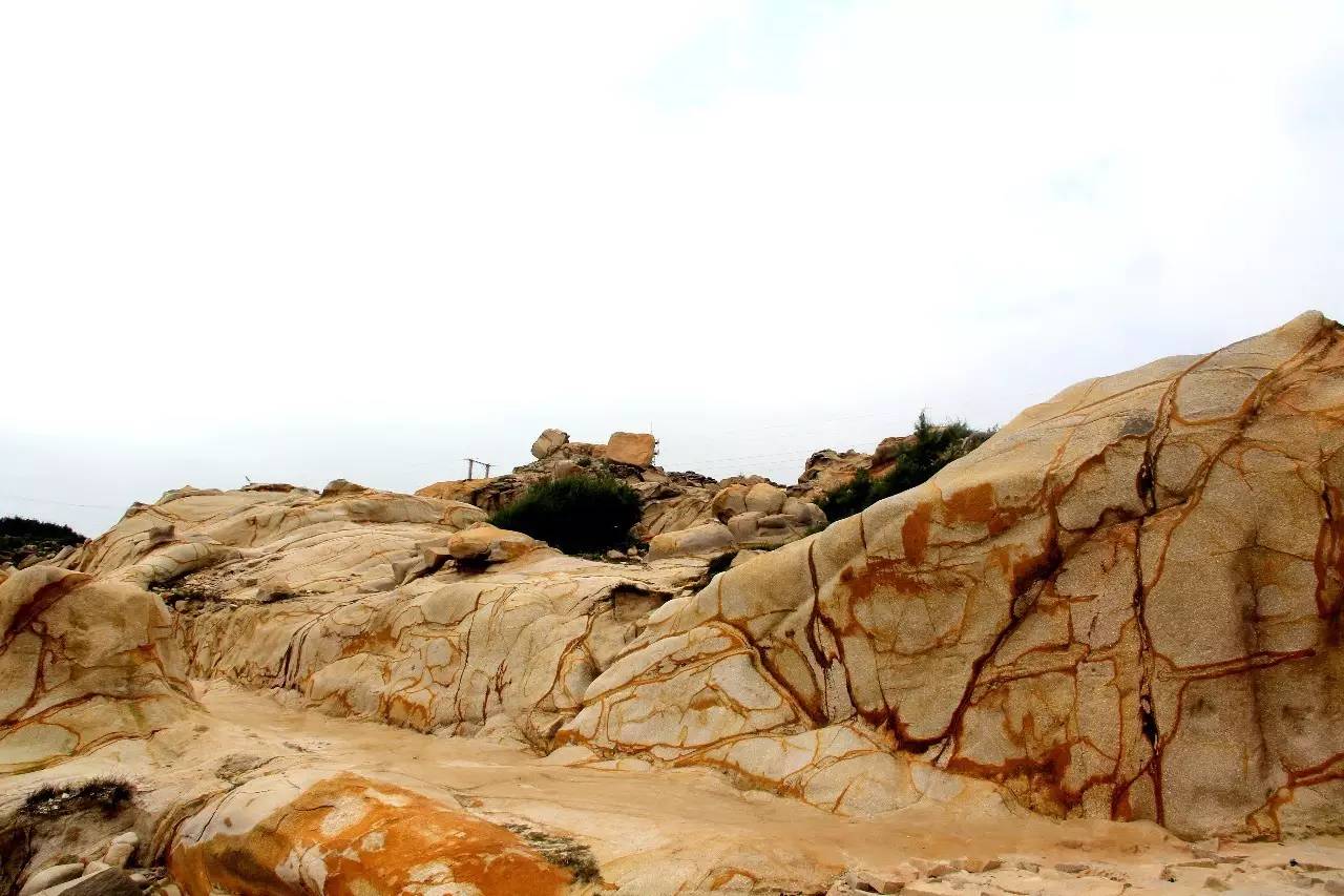 路虎揽胜漳州,揽胜海洋之心