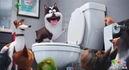 catchmybreath爱宠大机密高燃混剪,动物电影爱宠大机密